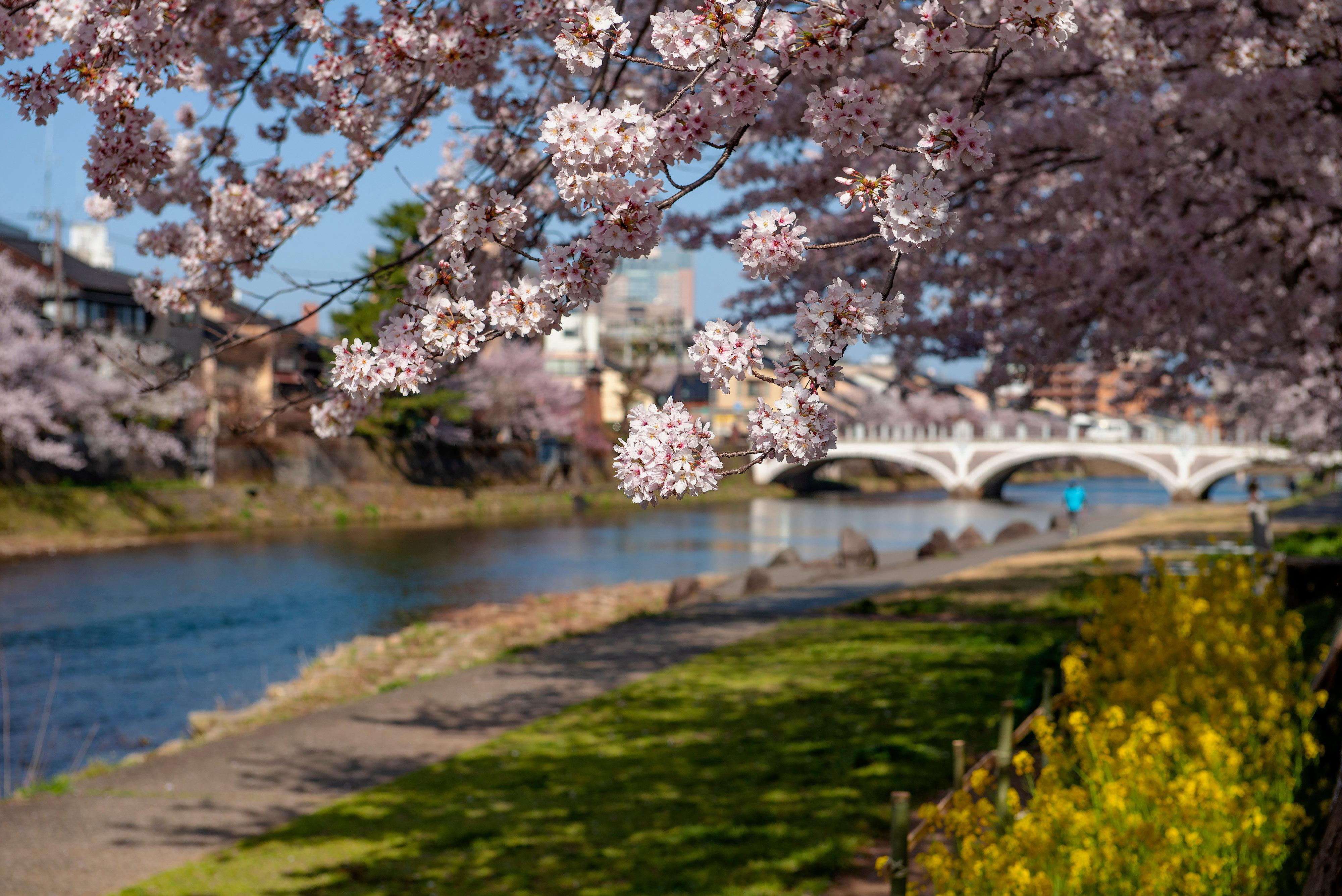 Ana Crowne Plaza By Ihg Hotel Kanazawa